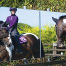 Woof Wear Young Rider Pro Performance Shirt (Damson) additional 2