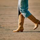 Ariat Women's Casanova X Toe Western Boot (Truly Taupe) additional 6