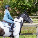 Woof Wear Young Rider Pro Riding Tights - Full Seat (Mineral Blue) additional 3