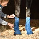 Equilibrium Equi-Chaps Stable Chaps additional 1