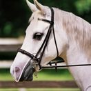 Equilibrium Net Relief Muzzle Net additional 2