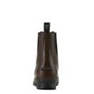 Ariat Women's Heritage Zip Paddock Boot (Light Brown) additional 3