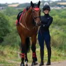 *OUTLET* Woof Wear Fly Veil (Royal Red) additional 2