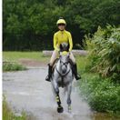 *OUTLET* Woof Wear Fly Veil (Sunshine Yellow) additional 5