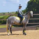 *OUTLET* Woof Wear Ladies Performance Riding Shirt (Brushed Steel) additional 4