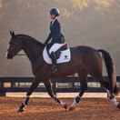 Ariat Womens Allure Show Coat (Navy Eclipse) additional 7