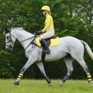 *OUTLET* Woof Wear Ladies Performance Riding Shirt (Sunshine Yellow) additional 2