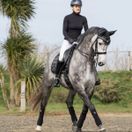 *OUTLET* Woof Wear Vision Fly Veil (Black) additional 3