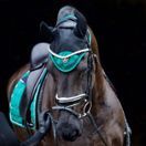 *OUTLET* Woof Wear Vision Fly Veil (British Racing Green) additional 3