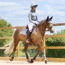 *OUTLET* Woof Wear Vision Fly Veil (Brushed Steel) additional 2