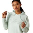 Ariat Womens Just Hoodie (Beach Glass Heather) additional 3