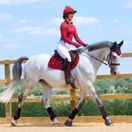 *OUTLET* Woof Wear Vision Fly Veil (Shiraz) additional 2