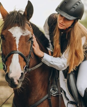 Horse &amp; Equestrian Supplies &amp; Essentials