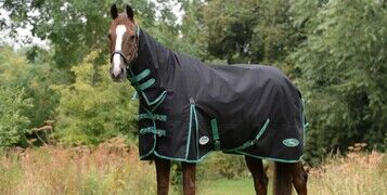 horse-rugs