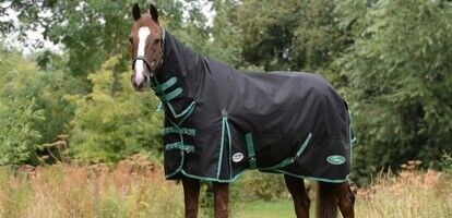 Measuring Your Horse for a Rug