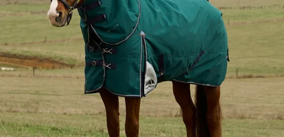 Winter Horse Care Checklist: Your Month-by-Month Guide