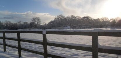 Caring For Your Horse: Winter To-Do List