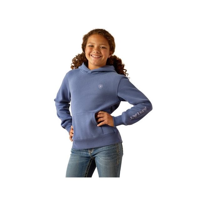 Ariat Youth Ariat 2.0 Hoodie (Coastal Fjord)