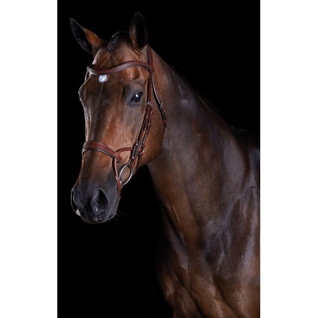 Collegiate Comfitec Training Bridle (Brown)