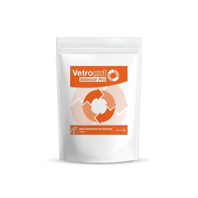 Animalife Vetrogut Balance And Protect (420g)