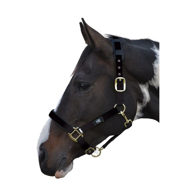 Hy Deluxe Padded Head Collar
