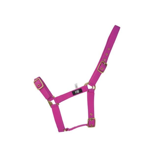 Hy Holly Fully Adjustable Head Collar (Fuchsia)