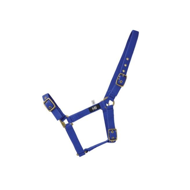 Hy Holly Fully Adjustable Head Collar (Royal)