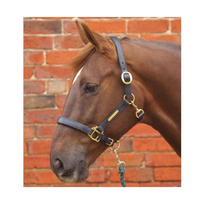 Hy Leather Head Collar (Brown)