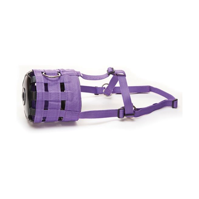 Hy Muzzle (Purple)