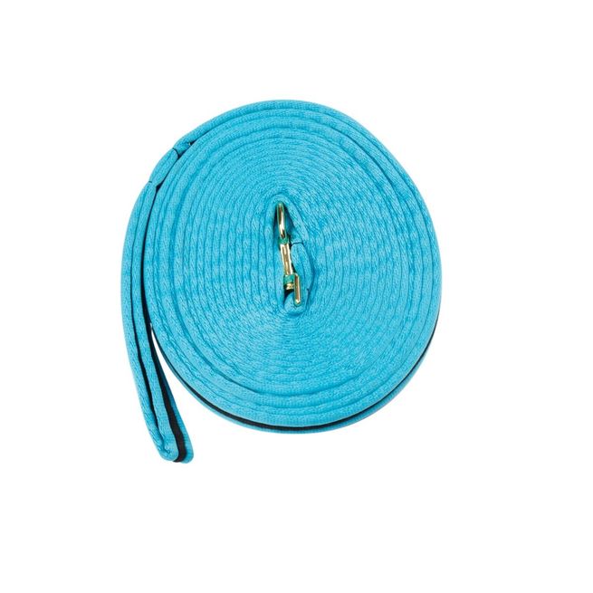 Kincade Brights Two Tone Padded Lunging Rein (Aqua/Black)