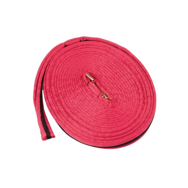 Kincade Brights Two Tone Padded Lunging Rein (Hot Pink/Black)