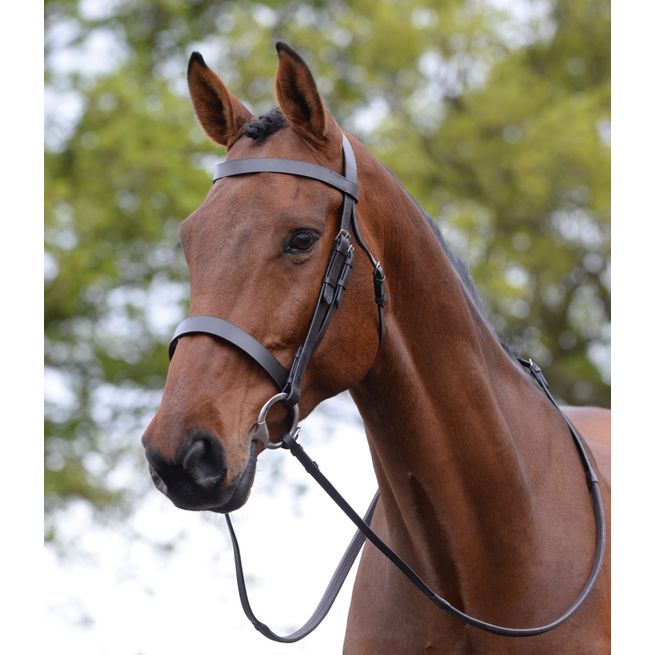 Kincade Hunt Cavesson Bridle (Brown)