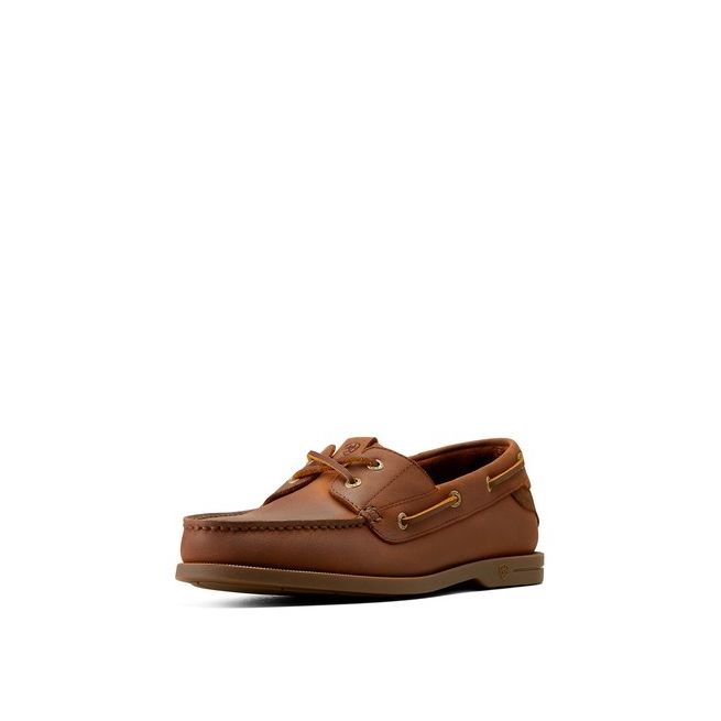 Ariat Men's Antigua (Bridle Brown)