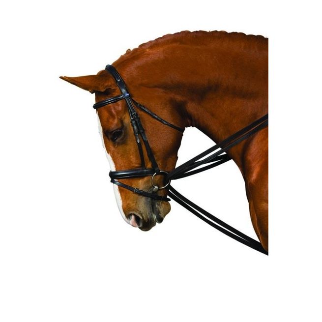 Kincade Web Draw Reins (Black)
