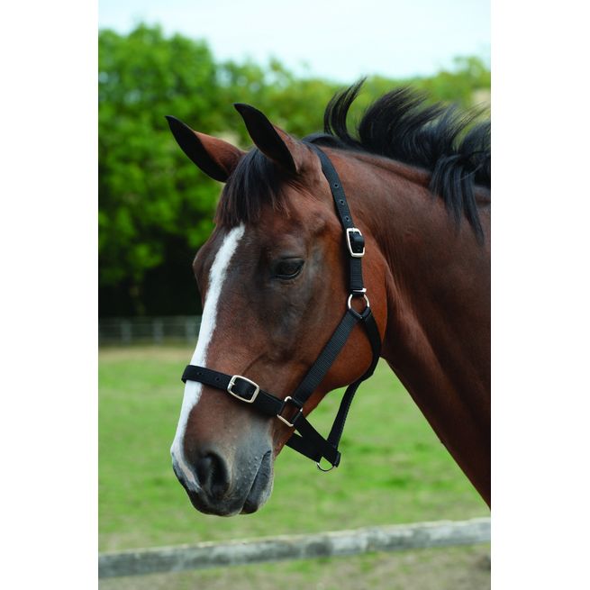 Roma Headcollar &amp; Lead Set (Black)