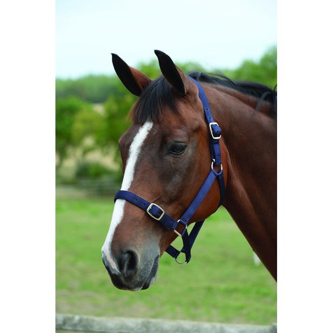 Roma Headcollar &amp; Lead Set (Navy)