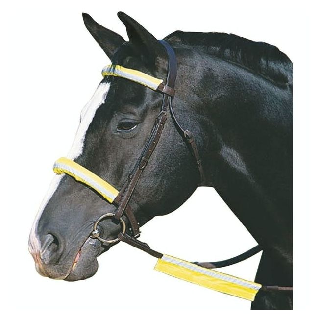 Roma Reflective Bridle Kit (Yellow)
