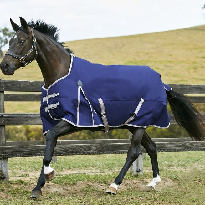 Weatherbeeta ComfiTec Essential Turnout Standard 220g Mediumweight Turnout (Navy/Red)