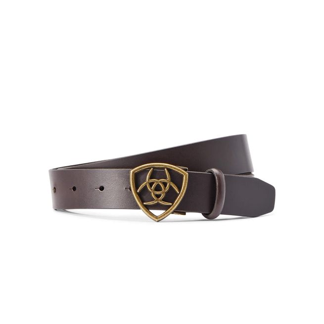 Ariat Shield Belt (Cocoa)