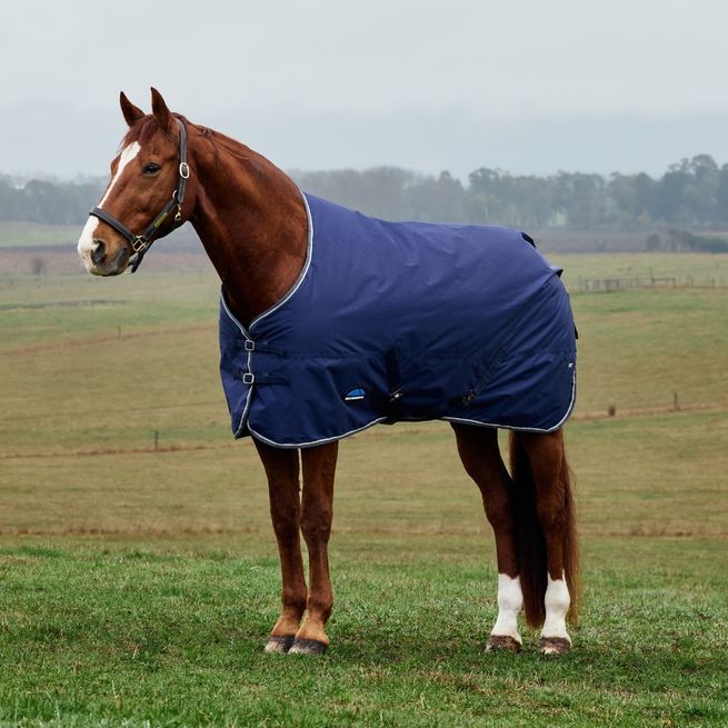 Weatherbeeta Comfitec Tyro Turnout Standard Neck 50g Rug (Navy/Charcoal)