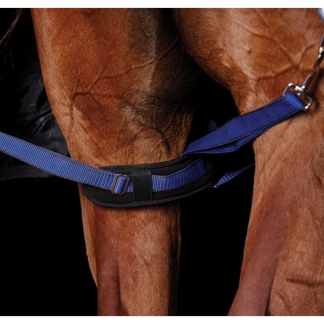 Weatherbeeta Padded Leg Straps