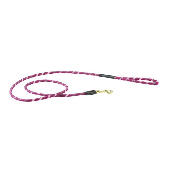 Weatherbeeta Rope Leather Dog Lead (Burgundy/Brown)