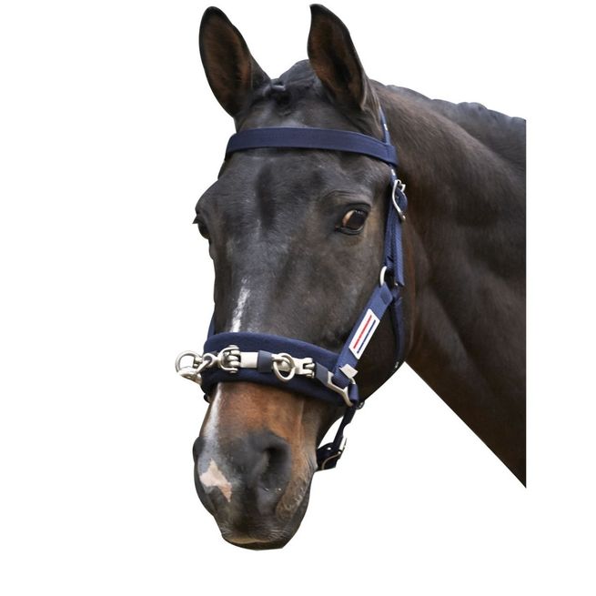Whitaker Lunge Cavesson (Navy)