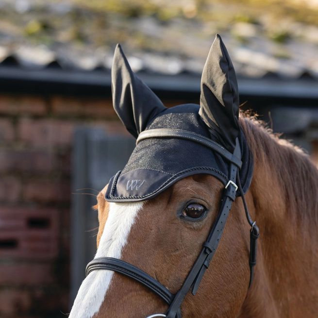 Woof Wear Classic Fly Veil (Black)