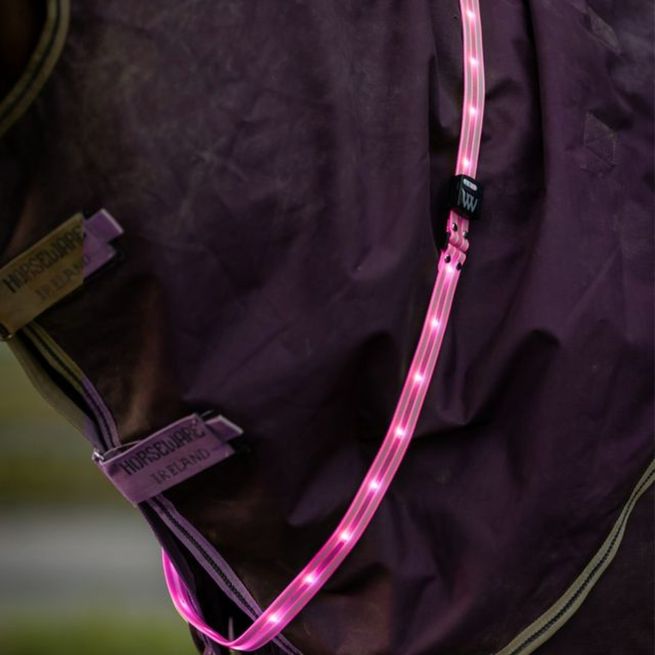 Woof Wear LED Sash (Hi Vis Pink)