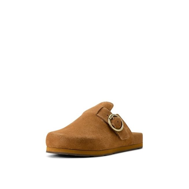 Ariat Women's Country Mule (Caramel Suede)