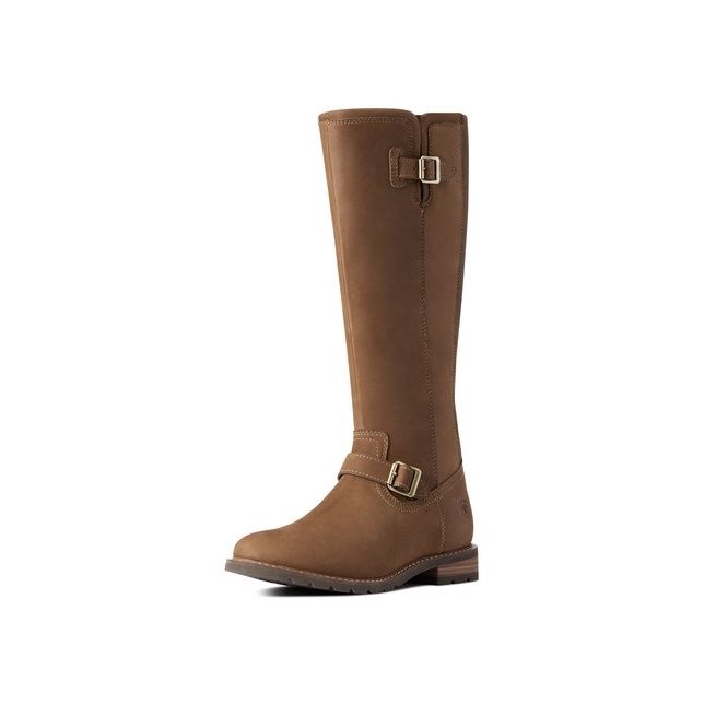 Ariat Women's Sadie Waterproof Boot (Dark Earth)