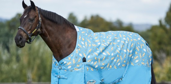 Horse Rugs