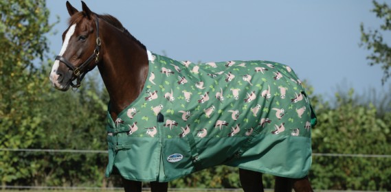 Horse Rugs