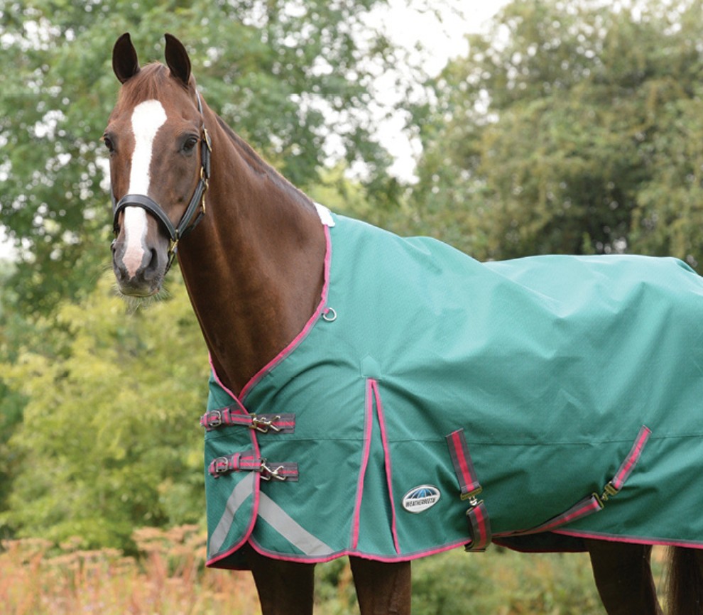 Weatherbeeta Spring Rugs 